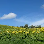 La Parenthèse Naillousaine Nailloux