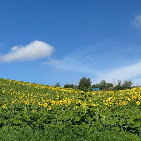 La Parenthese Naillousaine Nailloux